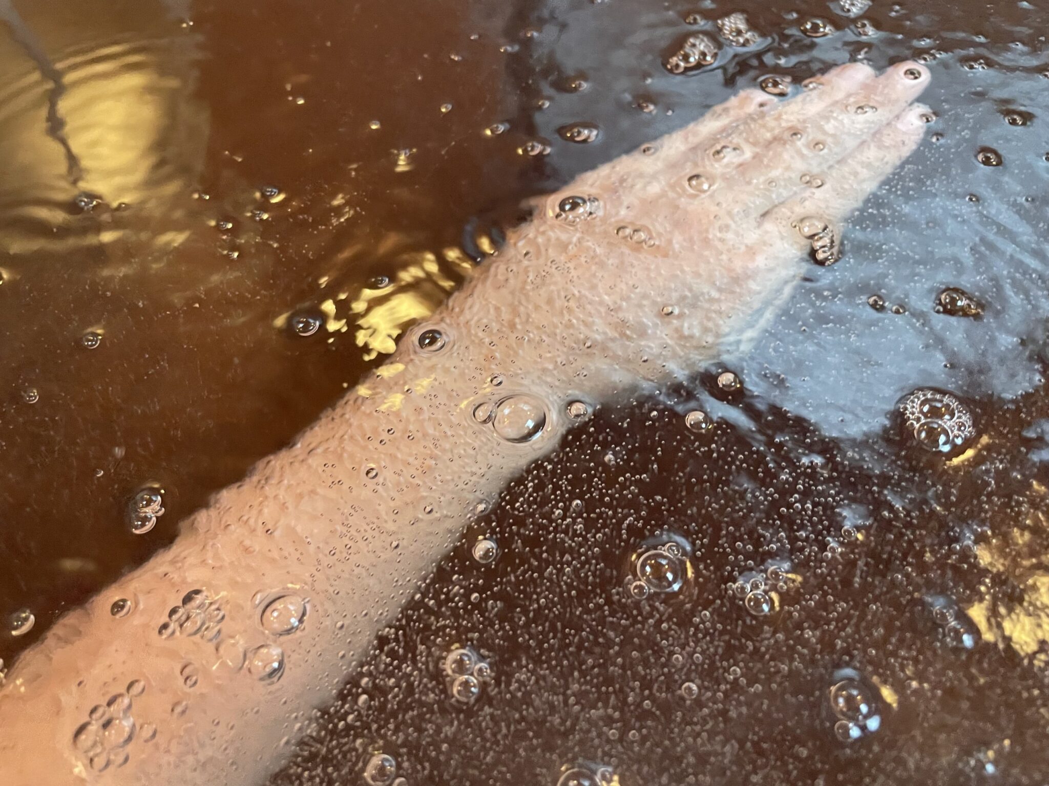 七里田温泉館 下ん湯