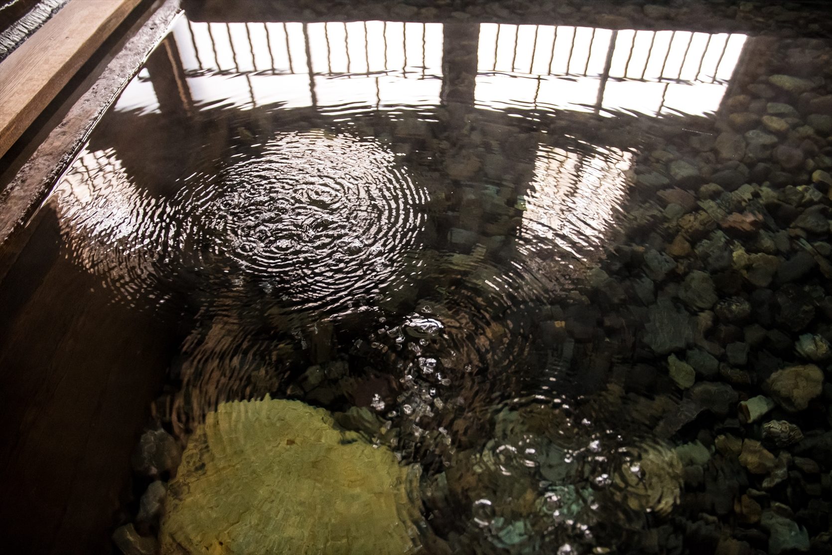 法師温泉 長寿館（法師乃湯）：法師乃湯・湯船の底から湧く様子