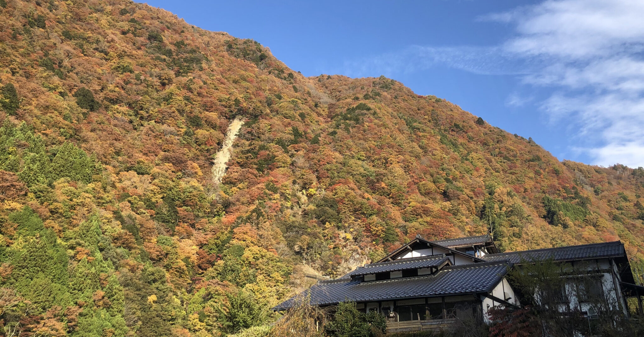 奈良田温泉 白根館：外観