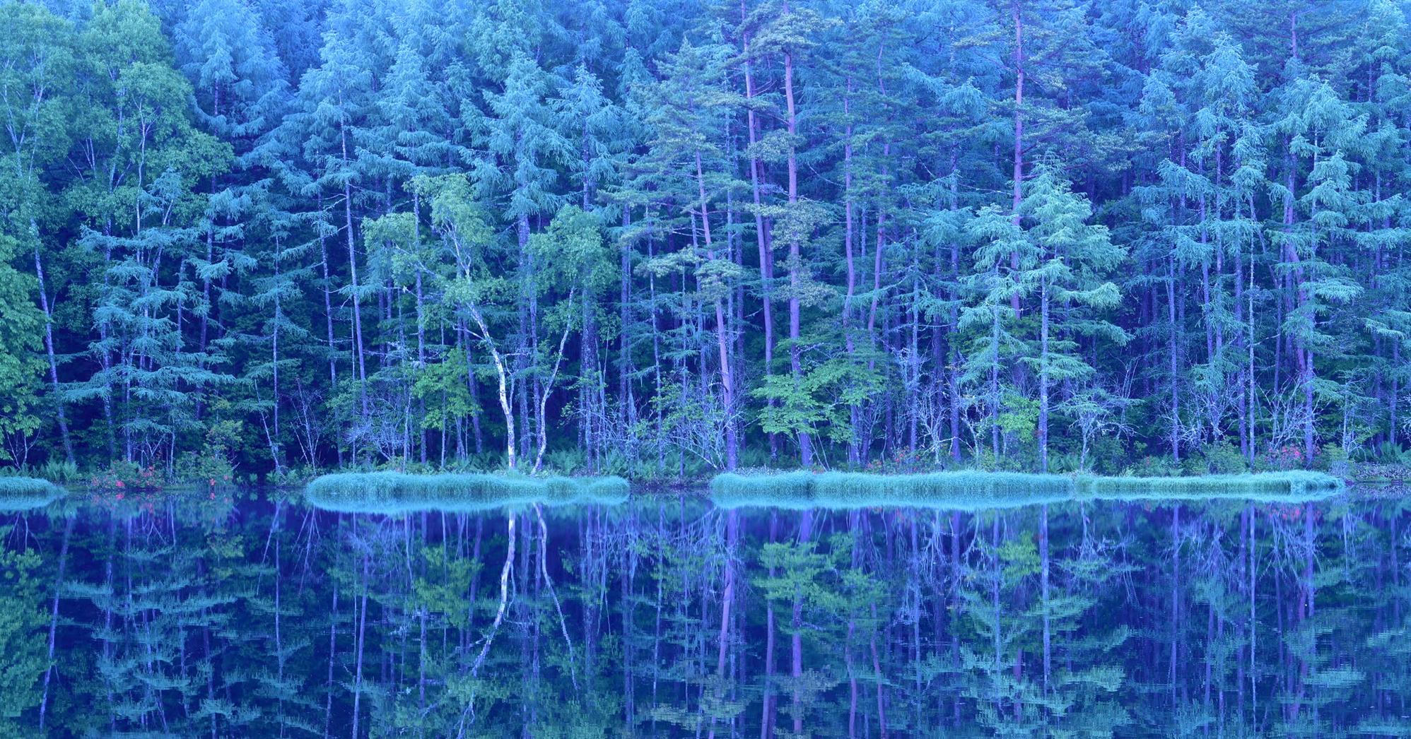 奥蓼科温泉 渋・辰野館(信玄の薬湯・森の温泉)
